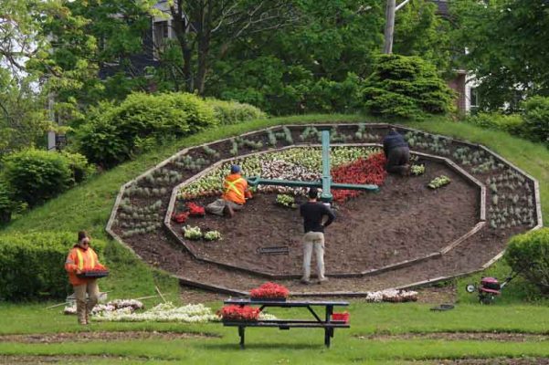 June 3, 2025 Floral Clock3092