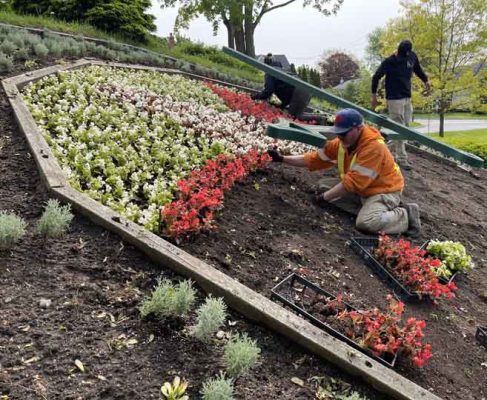 June 3, 2025 Floral Clock3095