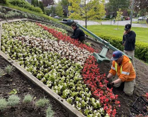 June 3, 2025 Floral Clock3096