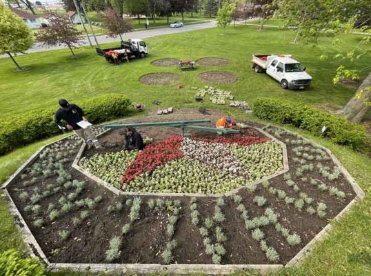 June 3, 2025 Floral Clock3097