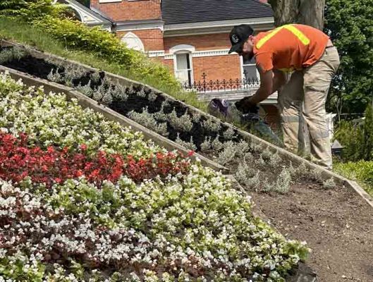 June 3, 2025 Floral Clock3101