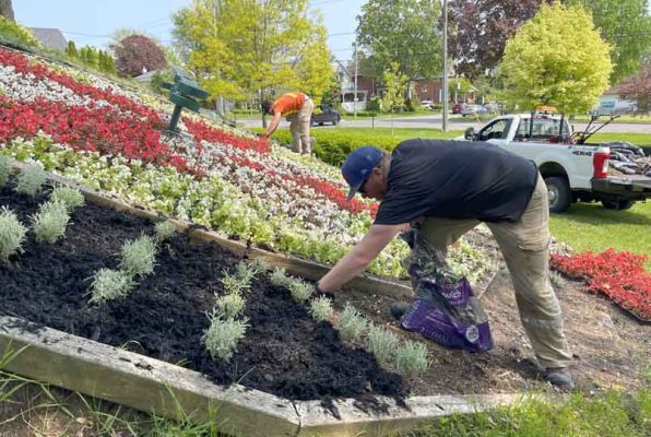 June 3, 2025 Floral Clock3102