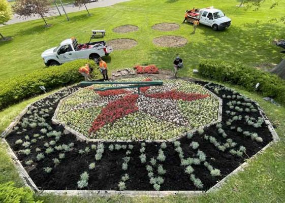 June 3, 2025 Floral Clock3104