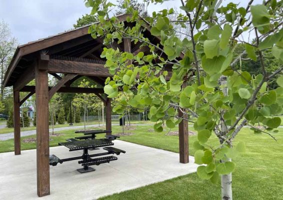 May 29, 2025 Lions Park Port Hope2948