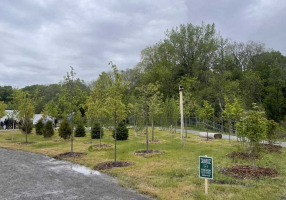 May 29, 2025 Lions Park Port Hope2949