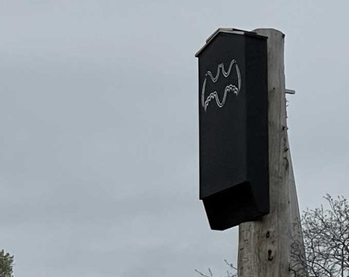 May 29, 2025 Lions Park Port Hope2950
