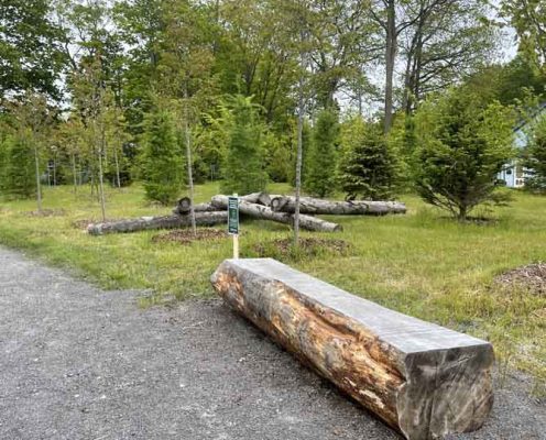 May 29, 2025 Lions Park Port Hope2951