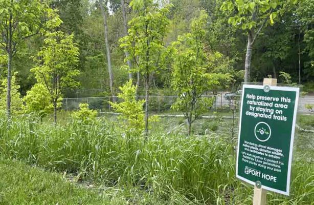 May 29, 2025 Lions Park Port Hope2952