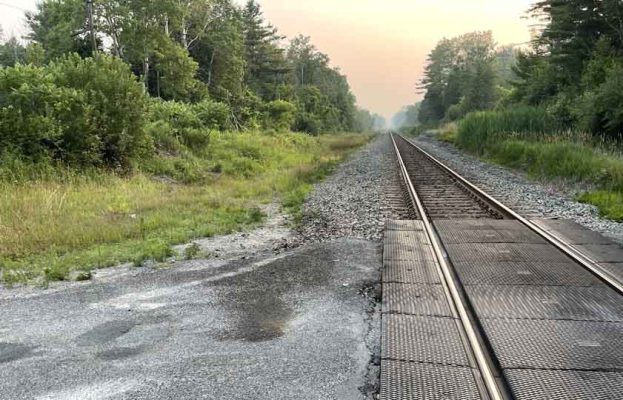 July 14, 2025 Fatal Train Pickup Collision Hunt Road Cramahe Township4781