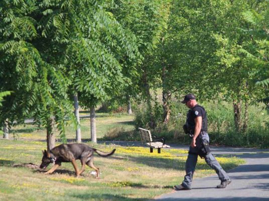 July 15, 2025 Cobourg Police Investigating Serious Assault4746