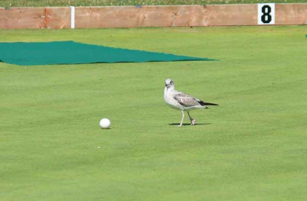 July 19, 2025 100th anniversary of Lawn Bowling Club House Cobourg4820