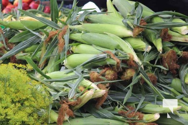 July 26, 2025 Port Hope Farmers Market5166