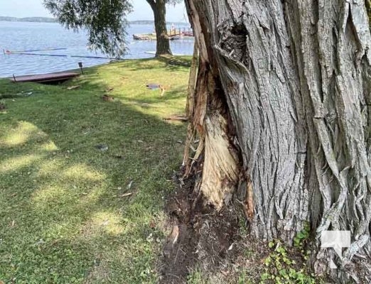 July 28, 2025 Car into Rice Lake Shearer Point Road5338