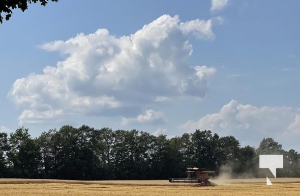 July 30, 2025 Combine Harvesting5361