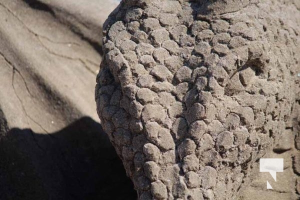 August 1, 2025 Sandcastle Festival5384