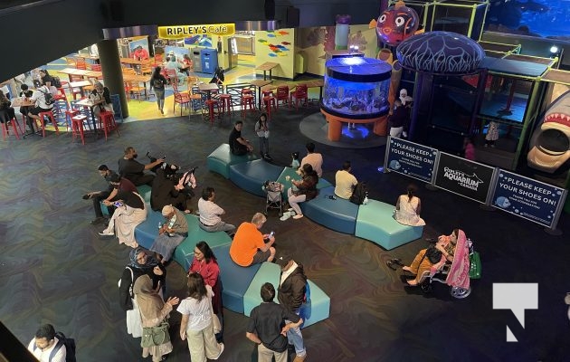 August 15, 2025 Ripleys Aquarium 0042