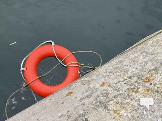 August 20, 2025 life ring 0130