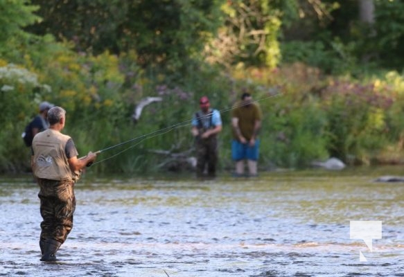 August 22, 2025 salmon 0208
