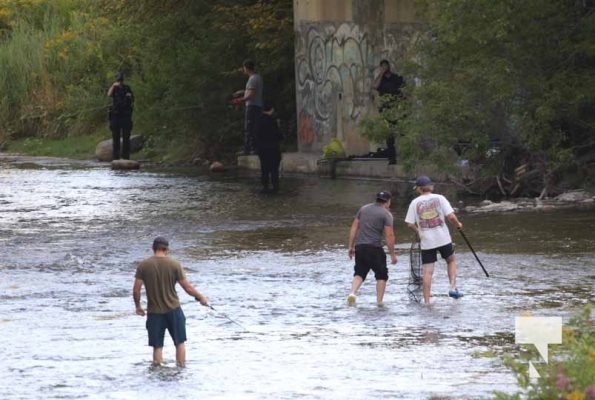 August 30, 2025 Sanctuary Ganaraska River 0411