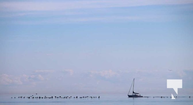 September 1, 2025 Sunset Sailboat Cobourg 0542
