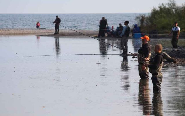 September 13, 2025 Salmon Cobourg Port Hope 0876