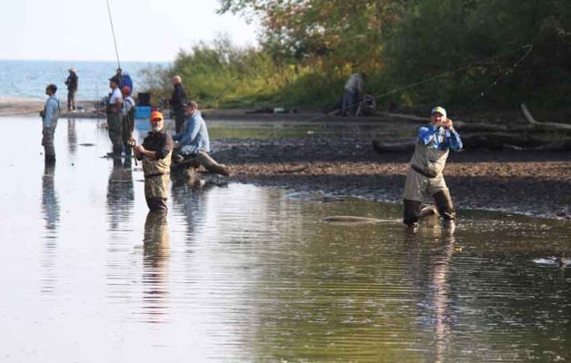 September 13, 2025 Salmon Cobourg Port Hope 0879