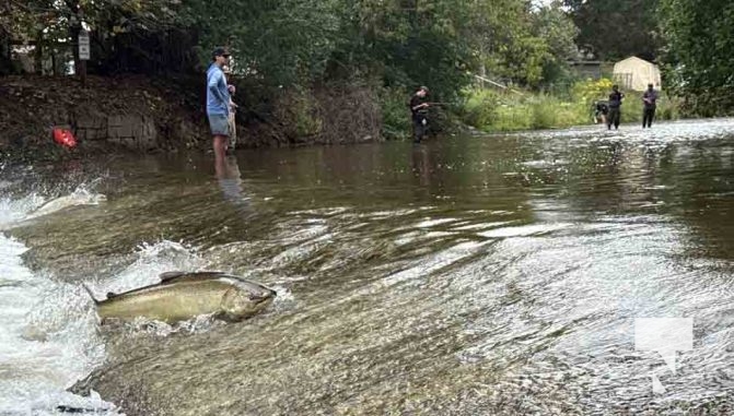 September 5, 2025 Salmon 0673