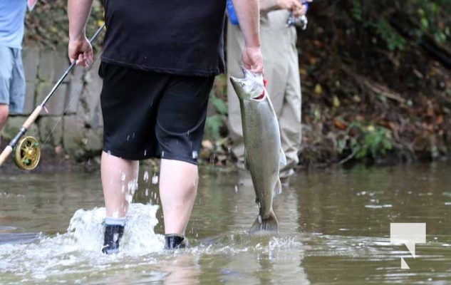 September 5, 2025 Salmon 0675