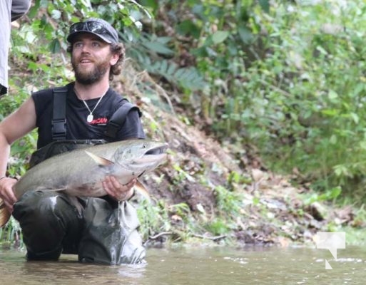 September 5, 2025 Salmon 0684