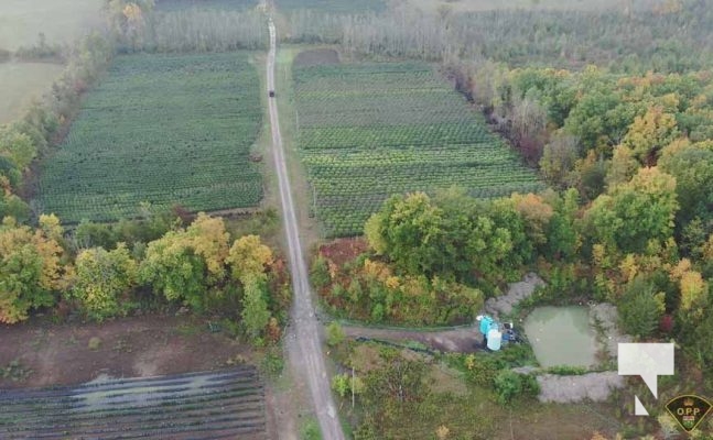 Aerial View 2