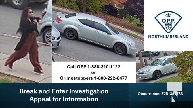 Break and Enter Investigation 2