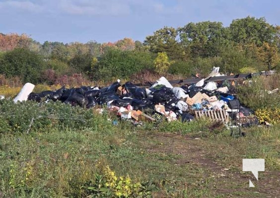 Dumping