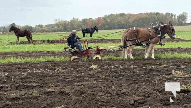 October 11, 2025 Northumberland Plowing Match 1611