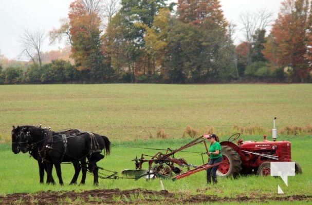 October 11, 2025 Northumberland Plowing Match 1612