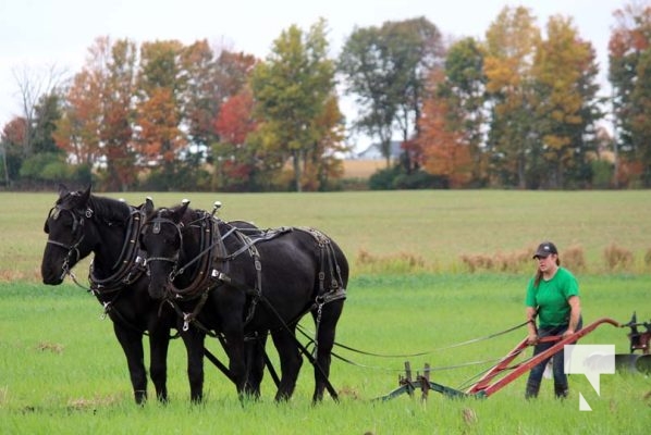 October 11, 2025 Northumberland Plowing Match 1615