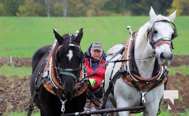 October 11, 2025 Northumberland Plowing Match 1617