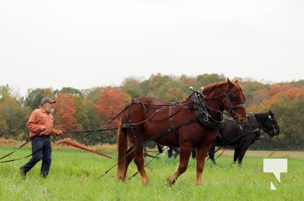 October 11, 2025 Northumberland Plowing Match 1619