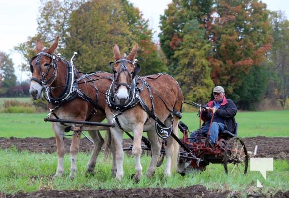 October 11, 2025 Northumberland Plowing Match 1621