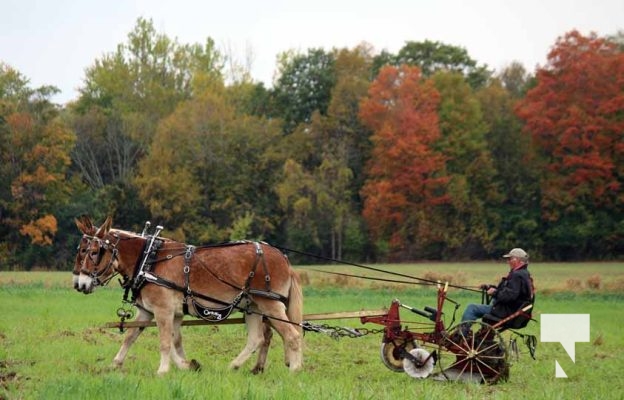 October 11, 2025 Northumberland Plowing Match 1624