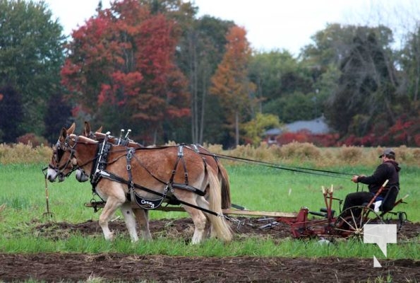 October 11, 2025 Northumberland Plowing Match 1625