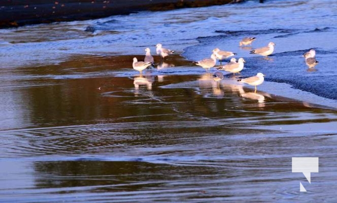 October 15, 2025 Lake Ontario Victoria Beach 1706