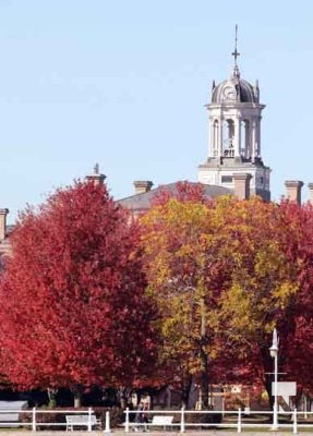 October 16, 2025 Fall Colours Cobourg Hamilton Township Rice Lake 1782