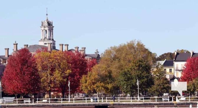 October 16, 2025 Fall Colours Cobourg Hamilton Township Rice Lake 1784