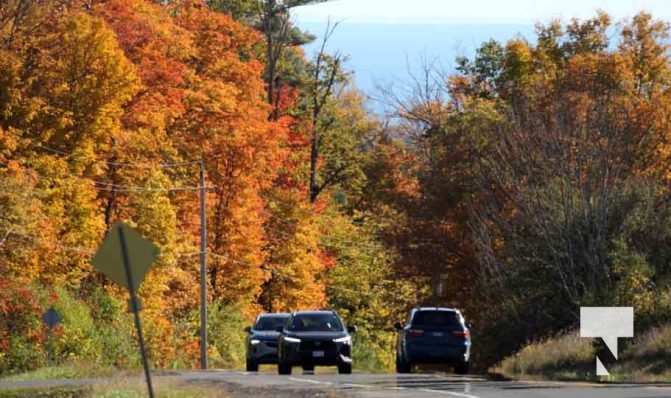 October 16, 2025 Fall Colours Cobourg Hamilton Township Rice Lake 1792