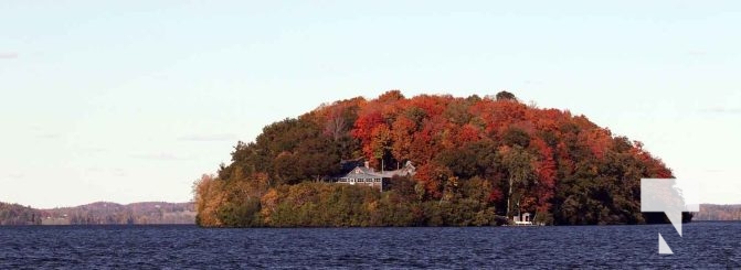 October 16, 2025 Fall Colours Cobourg Hamilton Township Rice Lake 1793