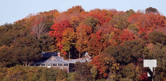 October 16, 2025 Fall Colours Cobourg Hamilton Township Rice Lake 1794