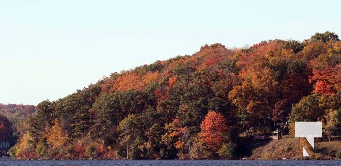 October 16, 2025 Fall Colours Cobourg Hamilton Township Rice Lake 1795