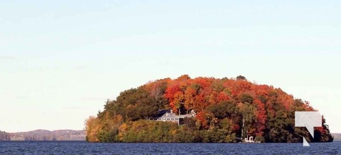 October 16, 2025 Fall Colours Cobourg Hamilton Township Rice Lake 1796