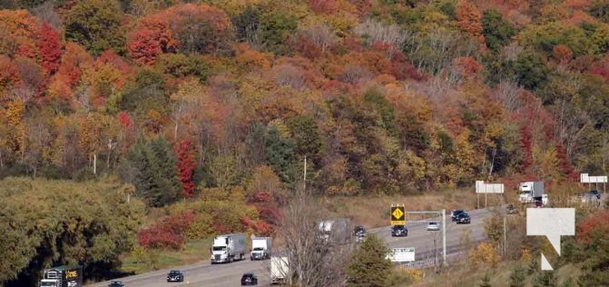 October 16, 2025 Fall Colours Cobourg Hamilton Township Rice Lake 1804