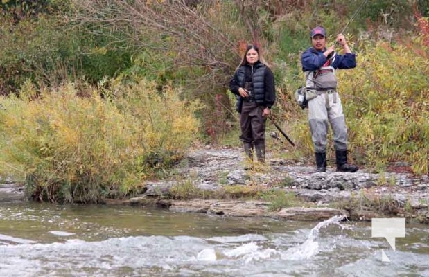 October 17, 2025 Ganaraska River Salmon Rainbow 1850